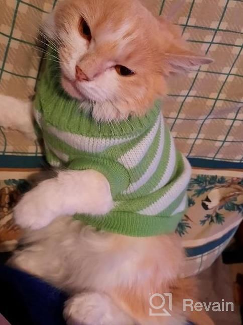 img 1 attached to Soft And Warm Striped Sweaters For Cats And Small Dogs - High Stretch Knitwear For Male And Female Kitties review by Ben Dixon