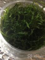 img 1 attached to Grow Beautiful Freshwater Aquarium Plants Easily With Greenpro Java Moss! review by Non Martin