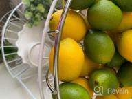 картинка 1 прикреплена к отзыву Artificial Yellow Lemons - 20Pcs Faux Fruit Decorations For Lemon Wreaths, Garlands, Party, Kitchen, And Table Summer/Spring Décor, Fruit Bowls, Vases, And Photography Props от Sam Pullen