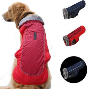 img 4 attached to 🐾 Durable Cozy Reflective Winter Dog Coat | Waterproof, Windproof Dog Vest for Cold Weather | Premium British Style Dog Jacket | Fleece-Lined Dog Vest Sweater | Sizes L-4XL