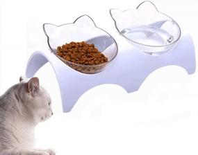 img 4 attached to Raised Cat Food Bowls With 15° Anti-Vomiting Angle, Transparent Plastic Pet Dish For Small And Medium Dogs, Dishwasher Safe