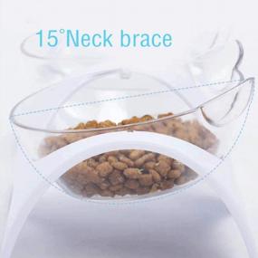 img 2 attached to Raised Cat Food Bowls With 15° Anti-Vomiting Angle, Transparent Plastic Pet Dish For Small And Medium Dogs, Dishwasher Safe
