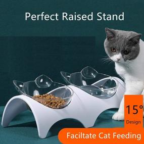 img 3 attached to Raised Cat Food Bowls With 15° Anti-Vomiting Angle, Transparent Plastic Pet Dish For Small And Medium Dogs, Dishwasher Safe