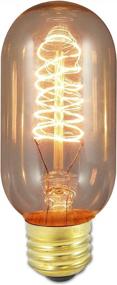 img 1 attached to Antique 40W T14 Incandescent Light Bulb With Medium Screw Base (E26) By Bulbrite