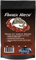 🥚 pangea hatch: the ultimate reptile egg incubation substrate logo