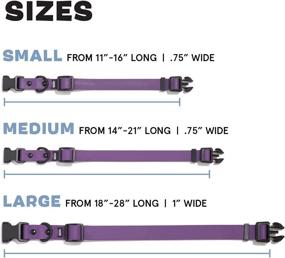 img 3 attached to 🐶 BarkBox Odor Proof & Waterproof Dog Collar - Adjustable Size for Puppies & Adult Dogs: The Ultimate Waterproof and Odor-Free Collar for Your Canine Companion