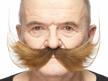 brown self adhesive fisherman's fake mustache - novelty false facial hair costume accessory for adults logo