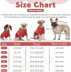 img 1 attached to BRKURLEG Dog Jacket Winter Coat,Turtleneck Reflective Dog Cold Weather Coat With Fleece Lining,Waterproof Warm Padded Doggy Waistcoat,Adjustable Neck Chest Girth Dog Windbreaker Vest For All Breeds