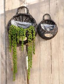 img 1 attached to 4 Pcs Artificial Hanging Succulents Plants - Wall Home Garden Décor