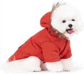 img 4 attached to PetBoBo Doggie Jacket Clothes Clothing Dogs