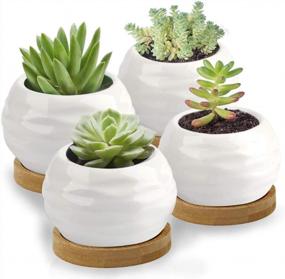 img 4 attached to Add A Touch Of Elegance To Your Garden With ZOUTOG Succulent Plant Pots - Set Of 4 Water Pattern Ceramic Pots With Bamboo Tray!