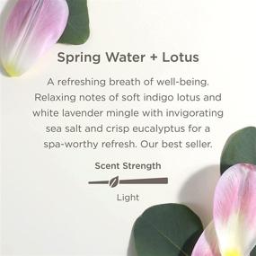 img 1 attached to 🌸 Enviroscent Non-Toxic Plug-in Air Freshener Kit: Spring Water + Lotus Scent, Infused with Essential Oils - 3-Piece Set