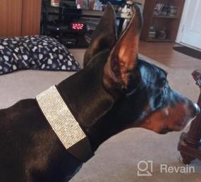 img 5 attached to Soft Velvet Rhinestone Dog Collar With Feminine Charm - Perfect For Medium And Large Female Breeds