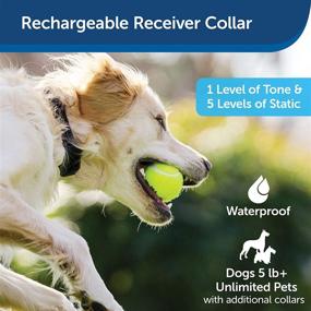 img 3 attached to Rechargeable In-Ground Pet Fence and Receiver Collar by PetSafe, YardMax System for Dogs and Cats, Multiple Wire Gauge & Indoor/Outdoor Barrier Options