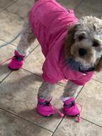 img 1 attached to Warm & Windproof Dog Coats For Small Dogs - LesyPet Grey S review by Erika Wright