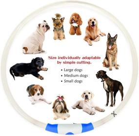 img 1 attached to 🐶 Higo LED Dog Collar, Glow-in-the-Dark Pet Collar, Rechargeable TPU Light Up Doggy Collars for Nighttime Walks (Blue)