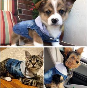 img 3 attached to 🐶 Rooroopet Dog Jeans Jacket: Stylish Blue Denim Hoodies for Small-Medium Dogs & Cats - Comfortable and Trendy Pet Clothes