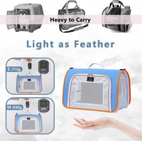 img 1 attached to 🐇 Superior Blue Small Pet Carrier: Airline Approved, Waterproof, Easy to Clean, Durable Rabbit Carrier with 3 Ventilated Mesh Windows