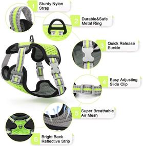 img 3 attached to Adjustable Reflective Cat Vest Harness with Leash Set - Ideal for Small to Large Cats