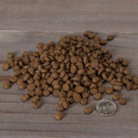 img 2 attached to Grain Free Dry Cat Food With BC30 Probiotic: Nulo Indoor Duck & Lentils Recipe, 12Lb Bag