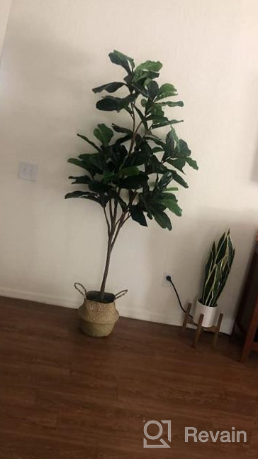 img 1 attached to Transform Your Home With VIAGDO'S Stunning 6Ft Tall Artificial Fiddle Leaf Fig Tree - Perfect For Any Living Space! review by Loren Rindfleisch