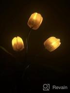 img 1 attached to Tulip Solar Garden Lights - Brighten Up Your Outdoor Space With Automatic Solar Flower Lights review by Anthony Savage