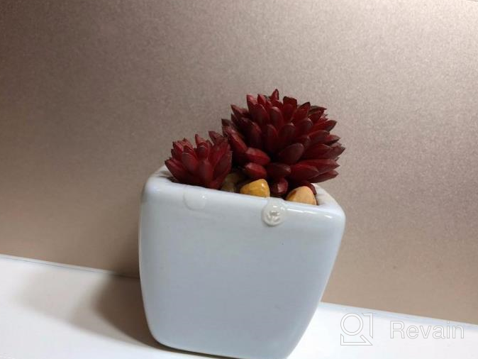img 1 attached to Set Of 4 Artificial Mini Succulent Plants In White Ceramic Pots, Colorful Faux Succulents For Modern Home Decor review by Melissa Morales