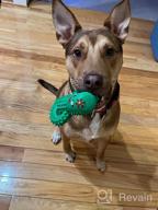 img 1 attached to Durable Squeaky Dog Toys For Aggressive Chewers - Rmolitty Tough Rubber Dental Chew Toys For Large, Medium & Small Breeds (Green) review by Roman Niko
