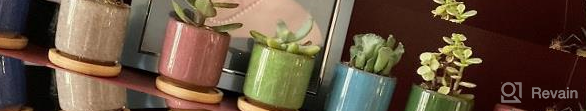 img 1 attached to Set Of 8 2.5 Inch Ceramic Ice Crack Succulent Plant Pots With Bamboo Tray For Home And Office Decor - Ideal For Cacti, Flowers, And Mini Plants (Plants Not Included) review by Juan Harrington
