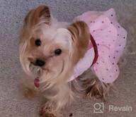 img 1 attached to Easter Dog Tutu Dress With Tulle For Small Dogs - KYEESE Puppy Sundress To Make Your Furry Friend Look Adorable! review by Carl Lee