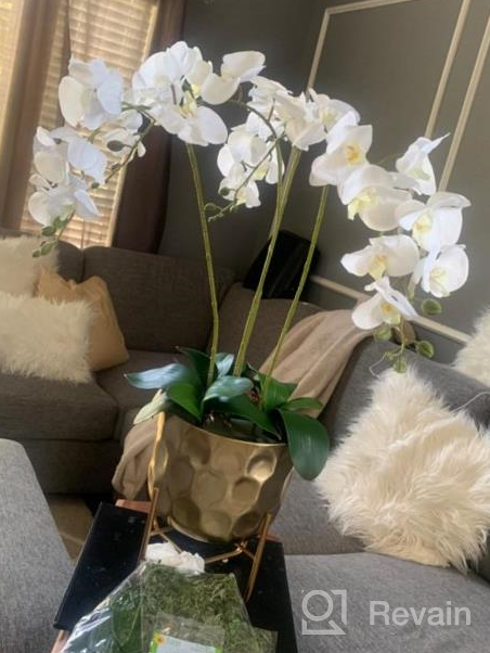 img 1 attached to 4PCS 38 Inch Artificial Butterfly Orchid Branches For Home Decor - White review by Scott Decoteau