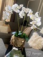 картинка 1 прикреплена к отзыву 4 шт Artificial бабочка orchid branches для декора дома - White от Scott Decoteau