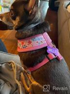 img 1 attached to PUPTECK Soft Mesh Dog Harness: Comfort Padded Vest For No Pull Pet Puppy & Cat Walking review by Tiffany Pine