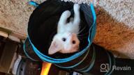 img 1 attached to Engage Your Feline Friend With PAWISE Cat Tunnel: Foldable, Interactive And Fun! review by Ryan Vaughn