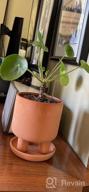 img 1 attached to Set Of 2 - 4.5" Terracotta Clay Plant Pots W/ 3 Legs & Saucer | Indoor Succulent Planters review by Jason Nguyen