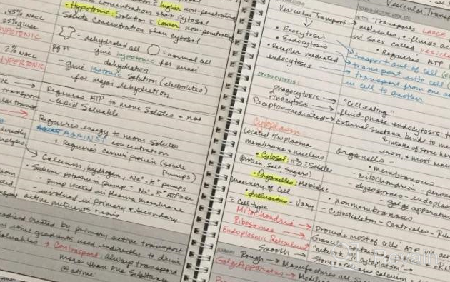 img 1 attached to 📘 BookFactory Universal Note Taking System - Cornell Notes Notebook, 120 Pages, 8 1/2" x 11" - Wire-O Bound (LOG-120-7CW-A) review by Jon Hill