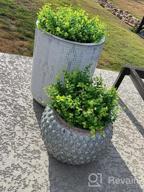 img 1 attached to Transform Your Garden With 24-Pack UV-Resistant Artificial Greenery By HATOKU review by Cesar Rios