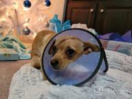 img 1 attached to Water-Resistant Soft Adjustable Protective Dog Neck Donut E-Collar For Small And Medium Dogs And Cats After Surgery - ARRR Comfy UFO Pet Recovery Collar Safe Alternative Cone (Navy, S) review by Brian Martin