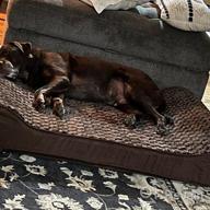 картинка 1 прикреплена к отзыву 🐶 Furhaven XXL Orthopedic Dog Bed - Plush Faux Fur & Suede Lounger - Gray, Jumbo Plus (XX-Large) - Removable/Washable Cover от Daionte Simpson