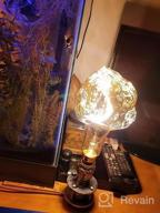 img 1 attached to Bulbrite LED Grand Filament 2000K Antique Nostalgic Iceberg Shaped Light Bulb - 60 Watt Equivalent review by Nigel Morris