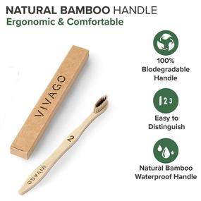 img 2 attached to Sensitive Biodegradable 🦷 Charcoal Toothbrushes by VIVAGO