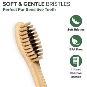 img 3 attached to Sensitive Biodegradable 🦷 Charcoal Toothbrushes by VIVAGO
