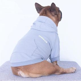 img 2 attached to 🐶 iChoue Exclusive Soft French Bulldog Clothes Hoodies Sweatshirt Coat for Medium Dogs - Frenchie Pug English Corgi Boston Terrier Pitbull - Blue, Size Medium