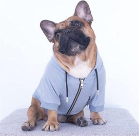 img 3 attached to 🐶 iChoue Exclusive Soft French Bulldog Clothes Hoodies Sweatshirt Coat for Medium Dogs - Frenchie Pug English Corgi Boston Terrier Pitbull - Blue, Size Medium