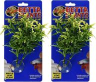 🌿 enhance your betta aquarium with zoo med laboratories betta plant maple leaf duo (2 plants) логотип