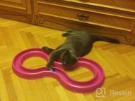 img 1 attached to Cat Toy TRIXIE Flashing Ball Race (41413), pink review by Agata Kaminska ᠌