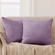 2 pack 18x18in deconovo velvet throw pillow covers for home sofa - lilac logo