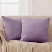 2 pack 18x18in deconovo velvet throw pillow covers for home sofa - lilac logo