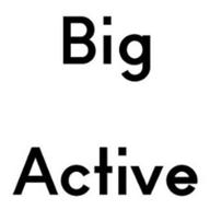 big active логотип