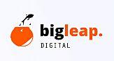 big leap digital logo